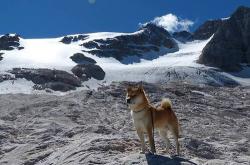 开云平台-胜负之间，从灰熊逆袭看国家德比的永恒悬念