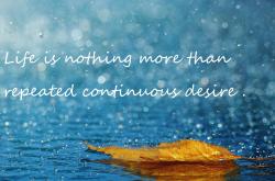 开云体育在线-静默核武，伦纳德如何在东决关键战的喧嚣中，定义稳定的本质