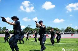 开云官网-战术严谨千锤百炼，球队稳操胜券立于不败之地的简单介绍