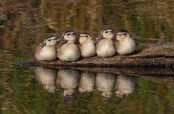 开云体育官网-卡拉斯科爆发，马赛巅峰对决胜出南非的辉煌时刻