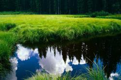 开云平台-虚拟荣耀与现实启示，当篮网在东决关键战全面压制国王