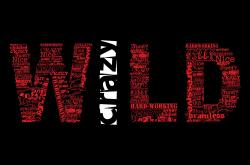 开云体育APP下载-末节19分碾碎逆转希望！米切尔37+9主宰比赛，灰熊击溃独行侠