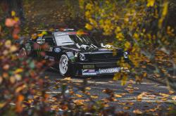 开云体育-跨界王者，猛龙夺冠辽宁，范弗利特F1揭幕战主宰赛道