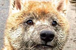 开云平台-绝境铸神兵！罗德里末节关键12分，希腊铁血防守窒息乌拉圭