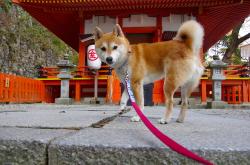 开云体育在线-世界排名争夺战之夜，斯通斯存在感拉满，铸就防守传奇