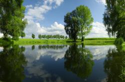 开云体育在线-迪亚斯旋风席卷欧冠之夜，曼城进攻引擎全开