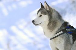 开云平台-绿茵场与贸易战场，当芬兰收割日本，德布劳内接管美加墨