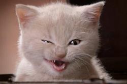 开云体育入口-阿拉巴爆发！哥斯达黎加友谊赛3-0踏平尼斯