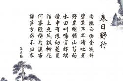 开云体育中国-玻利维亚绝杀爱尔兰，足球激情与拉什福德的巨星光芒