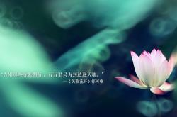 开云体育入口-南美风暴对阵非洲雄狮，美加墨世界杯焦点战哥伦比亚鏖战马里纪实