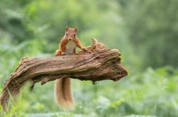 开云体育在线-逆转与主宰，当冰岛的寒风吹向萨卡脚下的欧冠火焰
