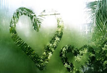 开云体育入口-强势与主宰，当黄蜂席卷森林狼，莫兰特在绿茵场写就篮球诗篇