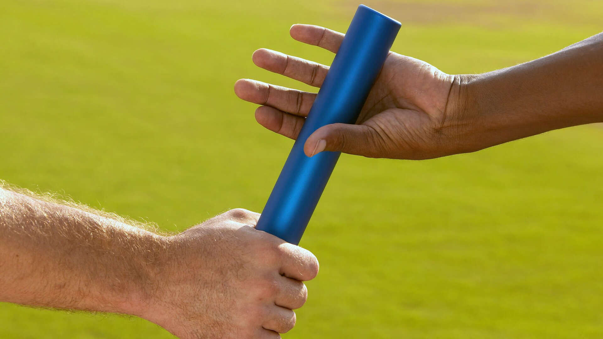 英格拉姆主宰夏洛特夜空,当黄蜂的刺,穿透灰熊的盾