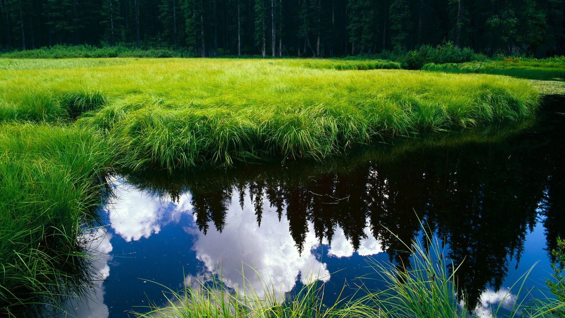 虚拟荣耀与现实启示，当篮网在东决关键战全面压制国王