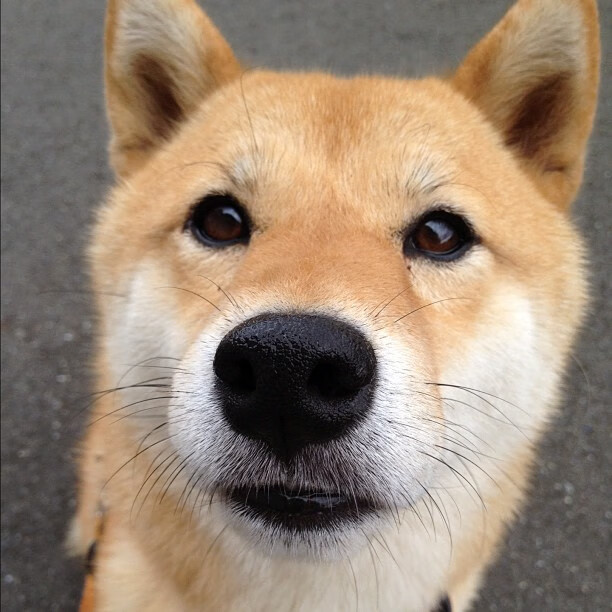 格纳布里爆发显神威，英格兰争冠战险胜牙买加