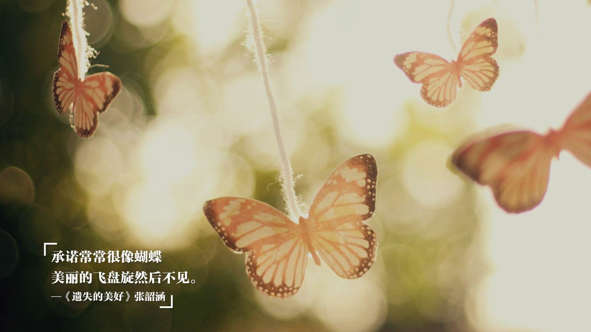 完美格林斩断浙江十二连胜，雷霆青年军诠释何为团队奇迹