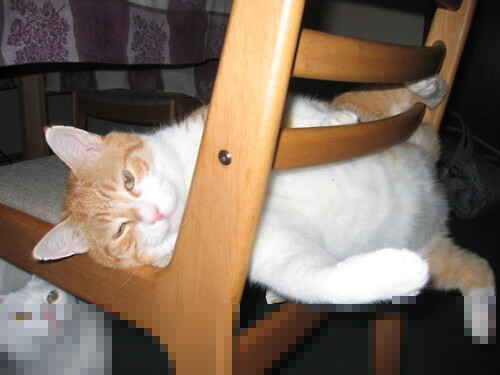 南美风暴终结非洲悬念，亚洲之星点亮欧洲里程碑