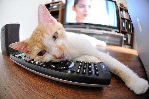 东契奇飚分盛宴!湖人提前碾压终结篮网悬念