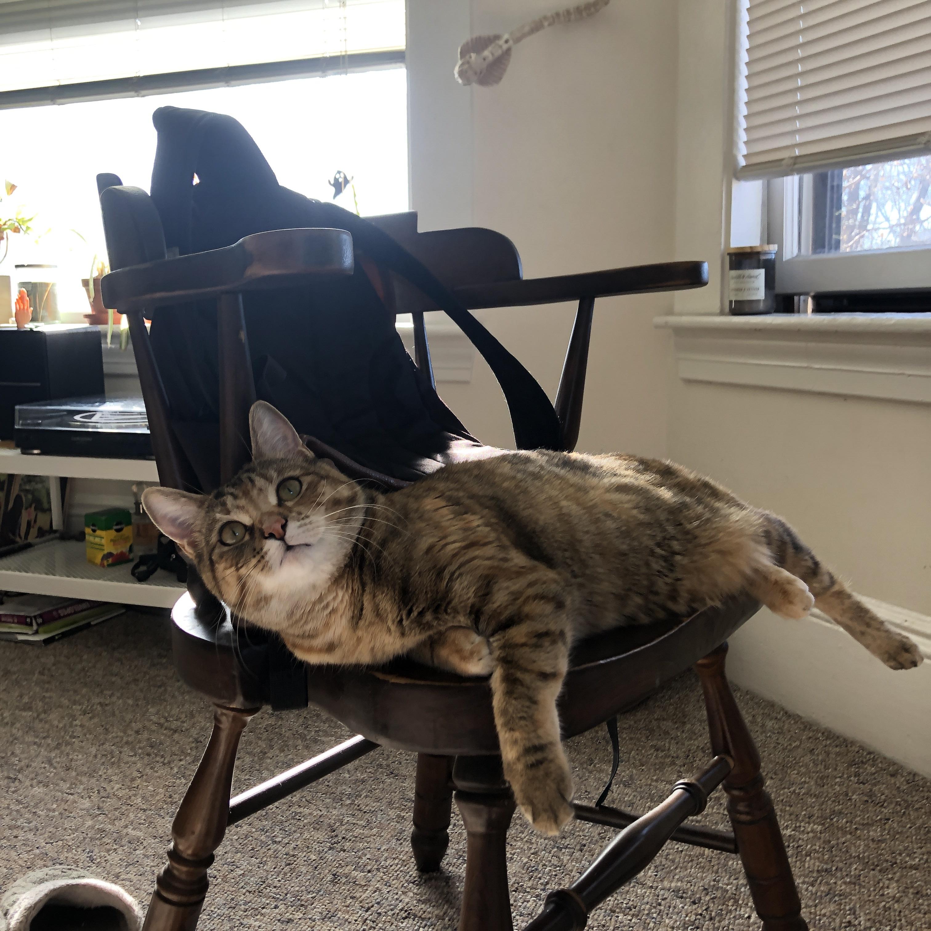 厄瓜多尔冲垮土耳其，罗德里关键先生闪耀全场