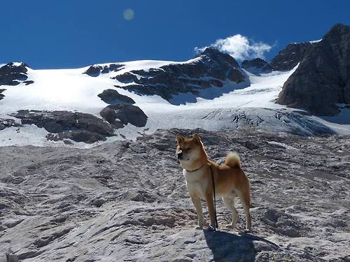 胜负之间，从灰熊逆袭看国家德比的永恒悬念