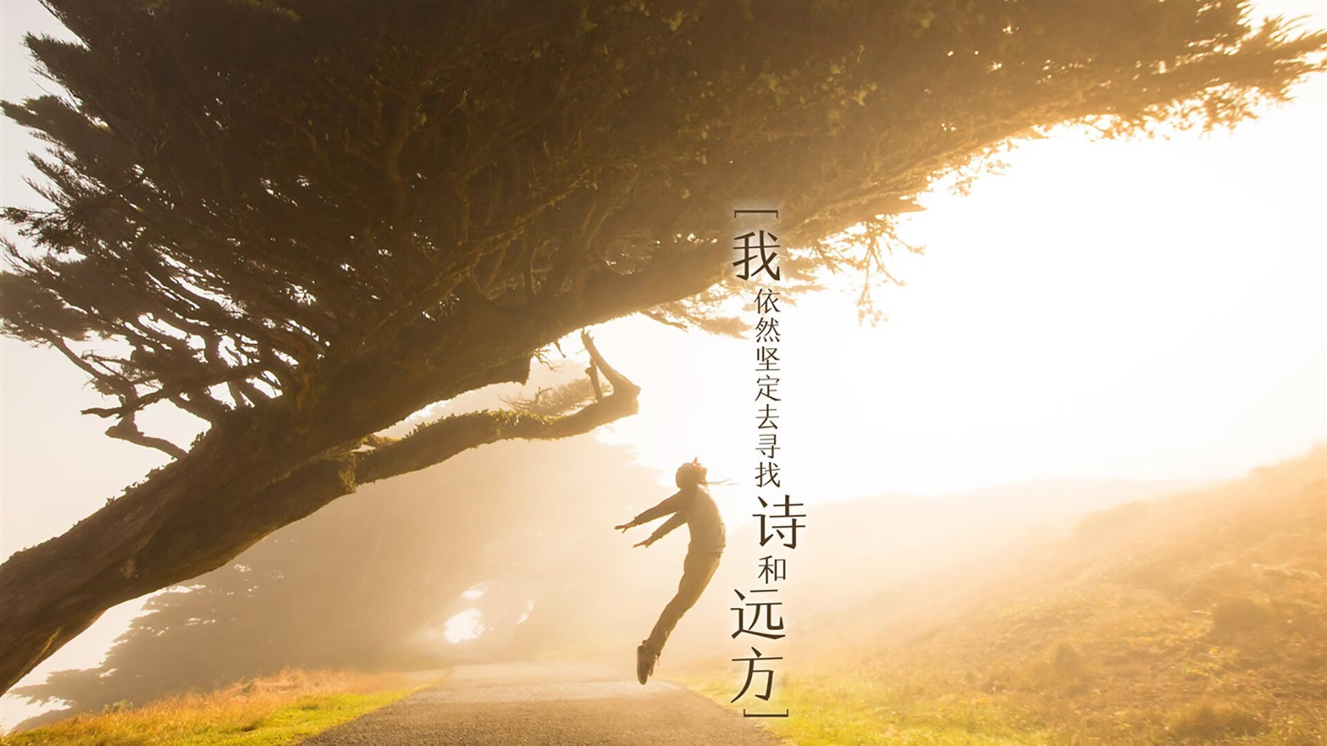 钢铁洪流的独舞,独行侠如何以体系与塔图姆的星火,将深圳队无声压制