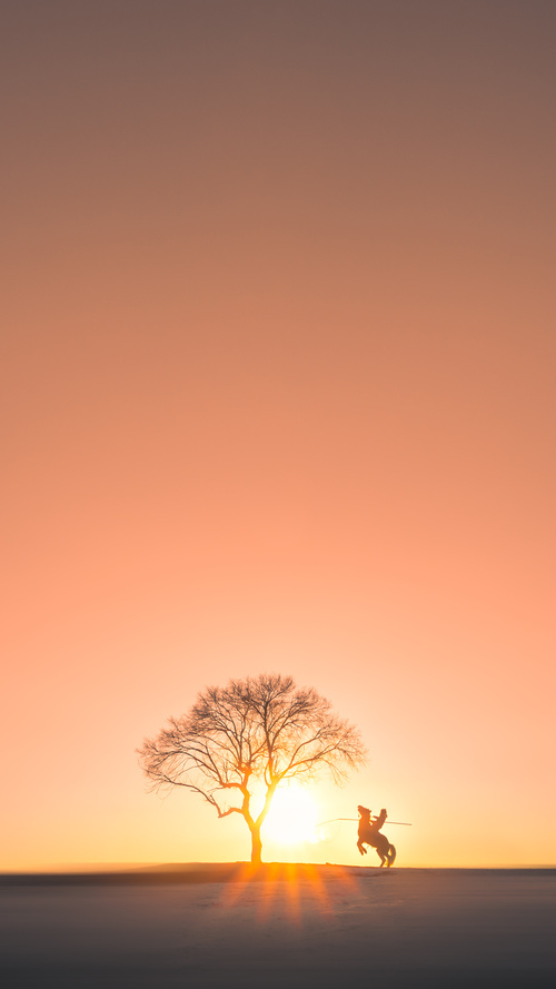 骑士鏖战，布克一球定江山