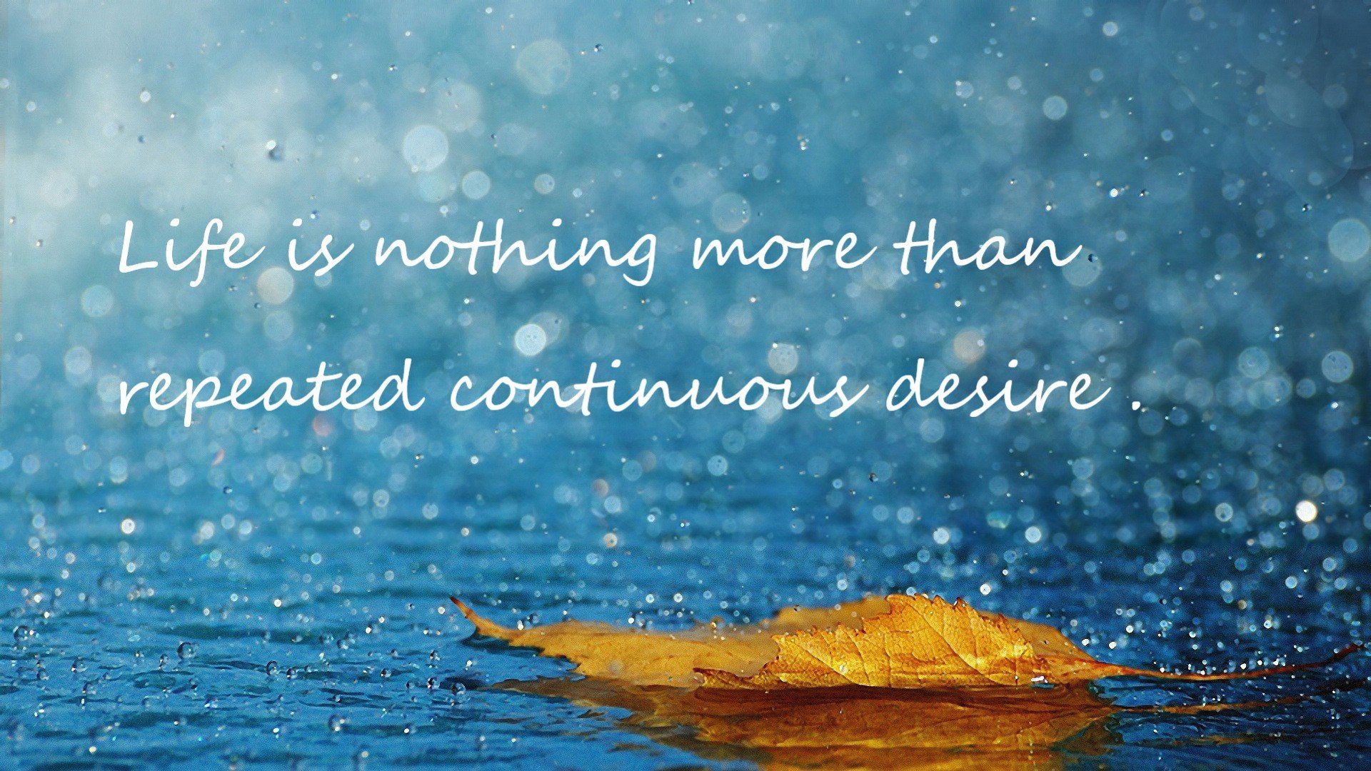 静默核武，伦纳德如何在东决关键战的喧嚣中，定义稳定的本质