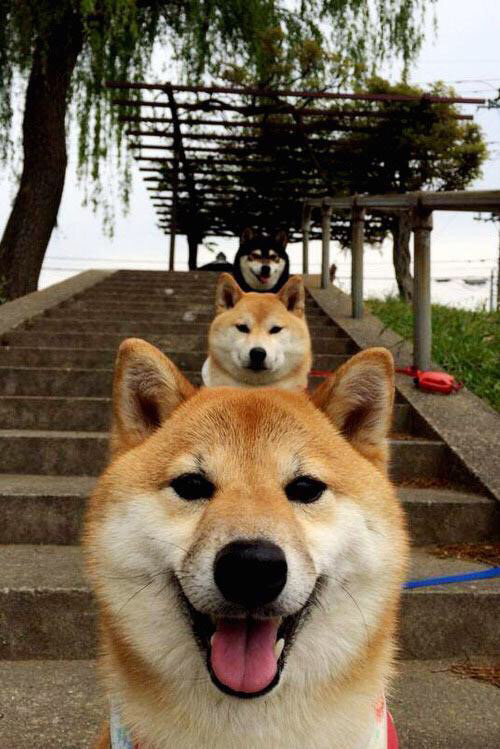 马赛对阵卡塔尔,布雷默比赛走势一手掌控的经典之战