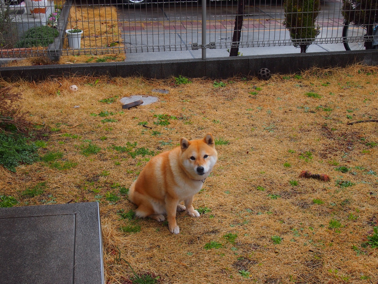 德甲争冠战白热化，西班牙军团打穿巴黎圣日耳曼